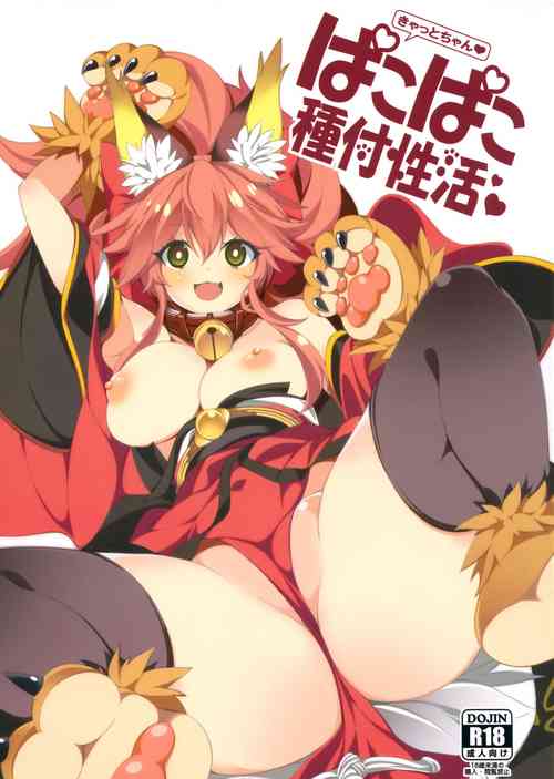 Download Cat-chan Pakopako Tanetsuke Seikatsu
