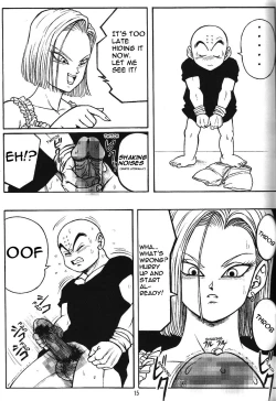 Page 14 of DragonBall H Maki San