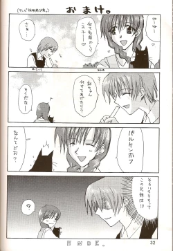 Page 29 of Barkenhof