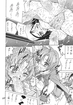 Page 27 of SHIO! Vol.17