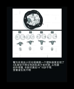 Page 47 of 心华去势日记