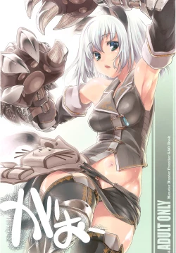 Page 13 of Hunter's Bible