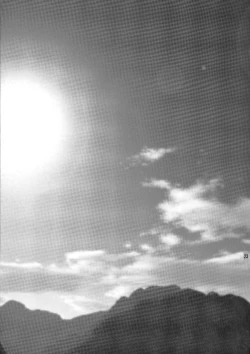 Page 23 of Ore Pants