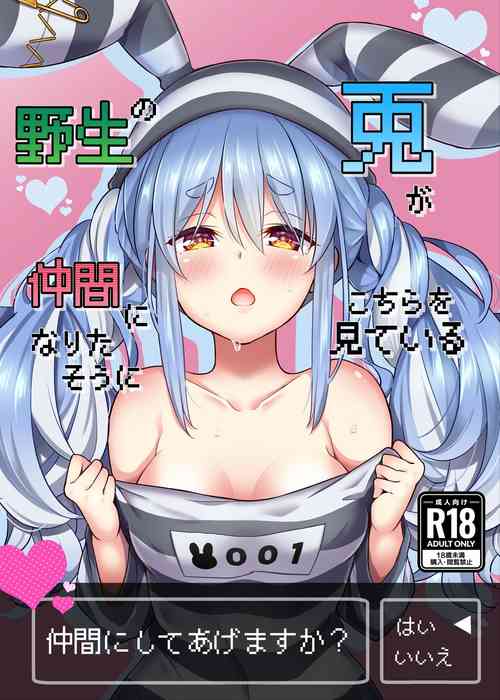 Download Yasei no Usagi ga Nakama ni Naritasou ni Kochira o Miteiru | Wild Rabbit Is Looking At You As If It Wants To Be Friends