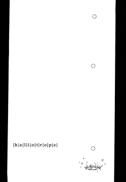 Page 8 of Heliotrope |日光菊