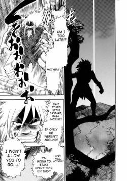 Page 207 of Maranosuke Maki no Ichi