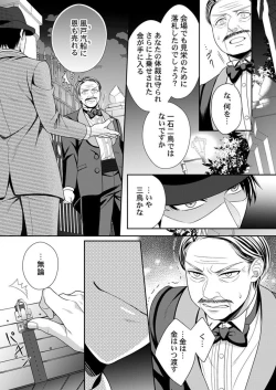 Page 17 of Shinshi, aru Iha Mōjū.~ Fugō ni Ubawareta Otome no Junketsu 1