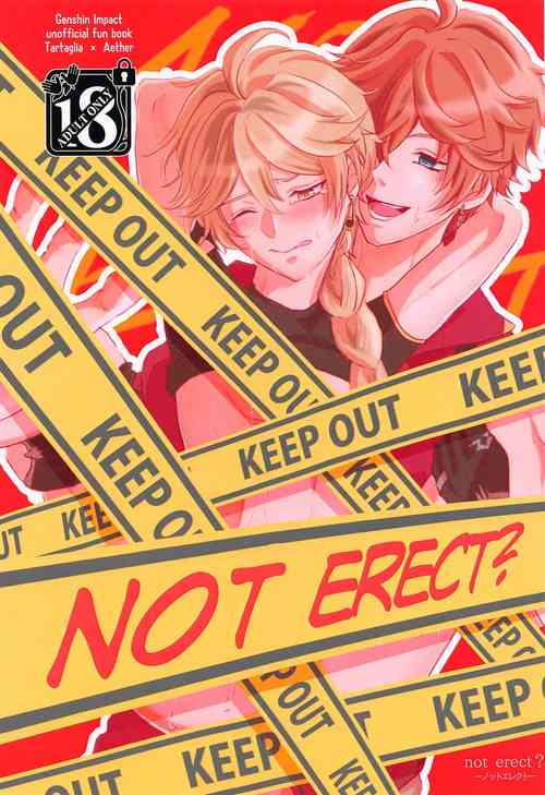 Download NOT ERECT?