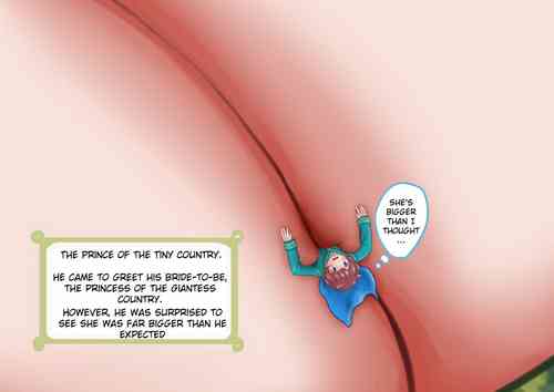 Download Kobito  Kuni  no Ouji-sama  |   Prince from the Tiny Country