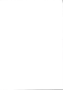 Page 19 of Kiba-san to P ga Sex suru dake no Hon