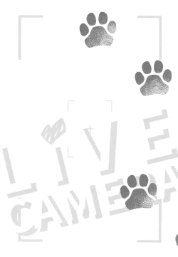 Page 4 of Live Camera