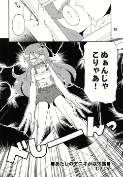 Page 22 of sis-con 4