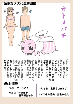 Page 17 of Nyotaika Osananajimi