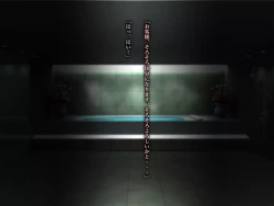 Page 4 of TS trans human