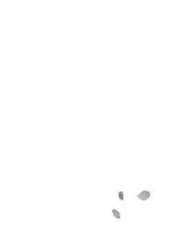 Page 136 of Haru made no Kyori Jou