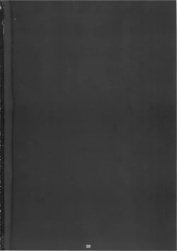 Page 26 of Touhou Nyou Reimu