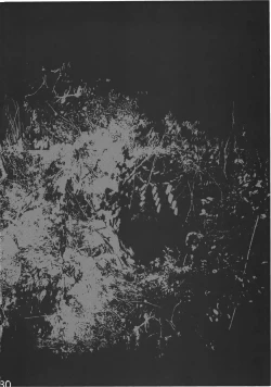 Page 30 of Byoujo no Sho