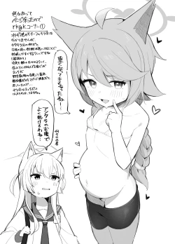 Page 20 of Taishoryoho