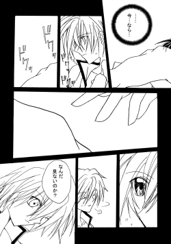 Page 28 of Contraindications