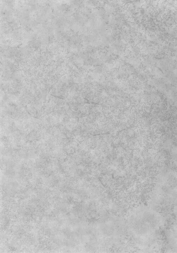 Page 2 of Little by Little