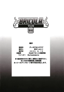 Page 26 of BRICOLA 8