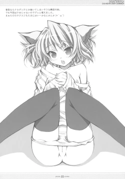 Page 19 of CopyIllu 2004