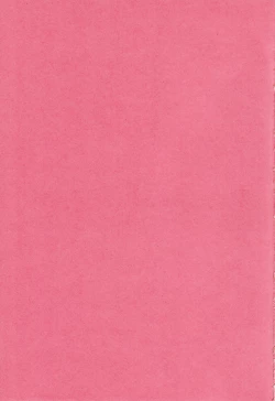 Page 5 of Ubu Bae - Virgin Hair