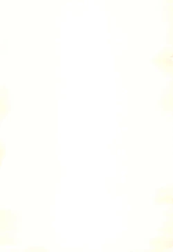 Page 27 of SATOHSAN+YAMADAKUN2 RANGE 1.02 A STEREORANGE PRODUCT