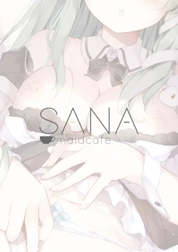 Page 33 of SANA-Recollection