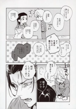 Page 17 of VIVID ADDITIVE MIXTURE