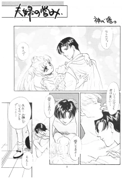 Page 4 of Gekkou SII