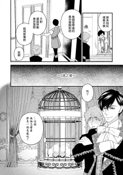 Page 31 of [Jonouchi nene / Tsukishiro usagi kotei heika to himeya ka na torikago ~ nidzuma ga kawai sugite genkai toppa shimashita!!~ | 皇帝陛下和秘密的鸟笼~新婚妻子过于可爱所以突破了界限！！～ [Chinese] [莉赛特汉化组]