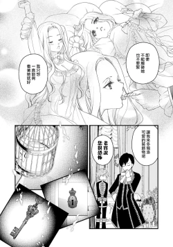 Page 33 of [Jonouchi nene / Tsukishiro usagi kotei heika to himeya ka na torikago ~ nidzuma ga kawai sugite genkai toppa shimashita!!~ | 皇帝陛下和秘密的鸟笼~新婚妻子过于可爱所以突破了界限！！～ [Chinese] [莉赛特汉化组]