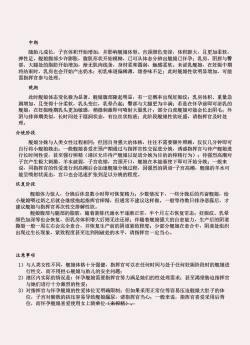 Page 184 of 碧蓝航线系列