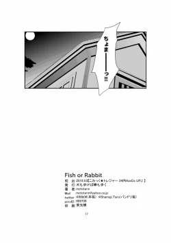 Page 16 of Fish or Rabbit