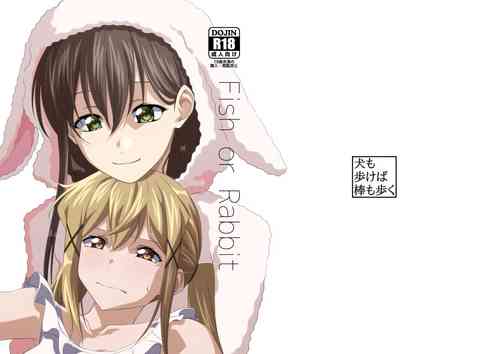 Download Fish or Rabbit