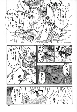 Page 37 of Tsuihou Kakugo Ver 7.0 - Seikai Tokushuu 3