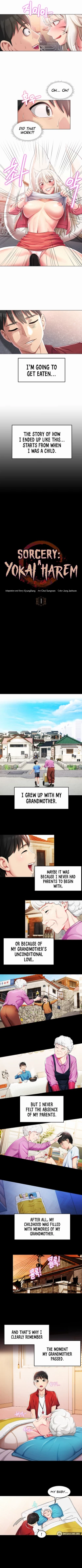 Page 3 of Sorcery : A Yokai Harem