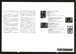 Page 146 of MARUOGRAPH EX 2