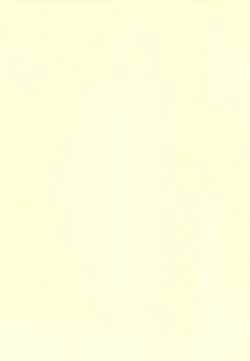 Page 34 of Hajimete no Sex