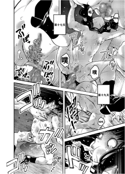 Page 16 of Haiga GREM