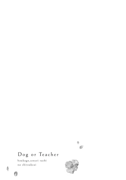 Page 90 of Dog or tīchātachi no shitsuke ke ai放学后，老师们的调教恋爱5 end
