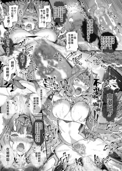 Page 5 of Kouyoku Senki ExSTia小册子