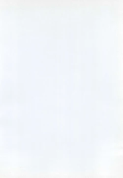 Page 4 of MARGINAL SEX