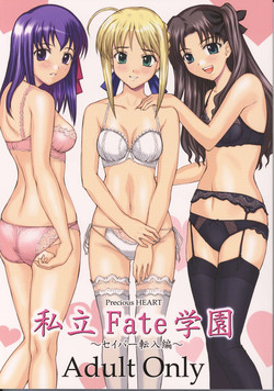 Download Shiritsu Fate Gakuen