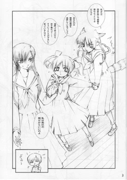 Page 3 of Marimite no Naisho