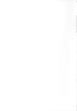 Page 33 of Hamunnyaptra