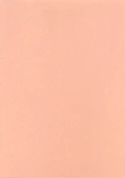 Page 21 of Sannin Musume Special!