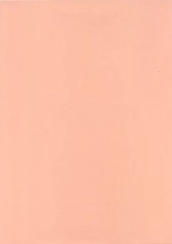 Page 2 of Sannin Musume Special!