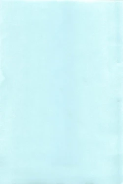 Page 4 of Hatsujou Message